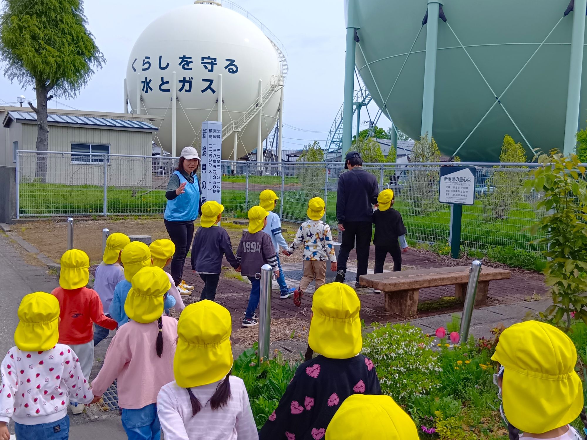 散歩の様子