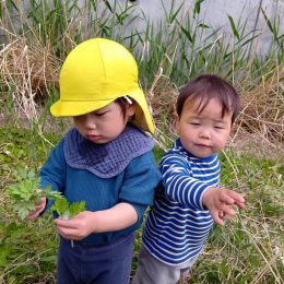 朝霞どろんこ保育園「よもぎ探しから広がる春の発見
」