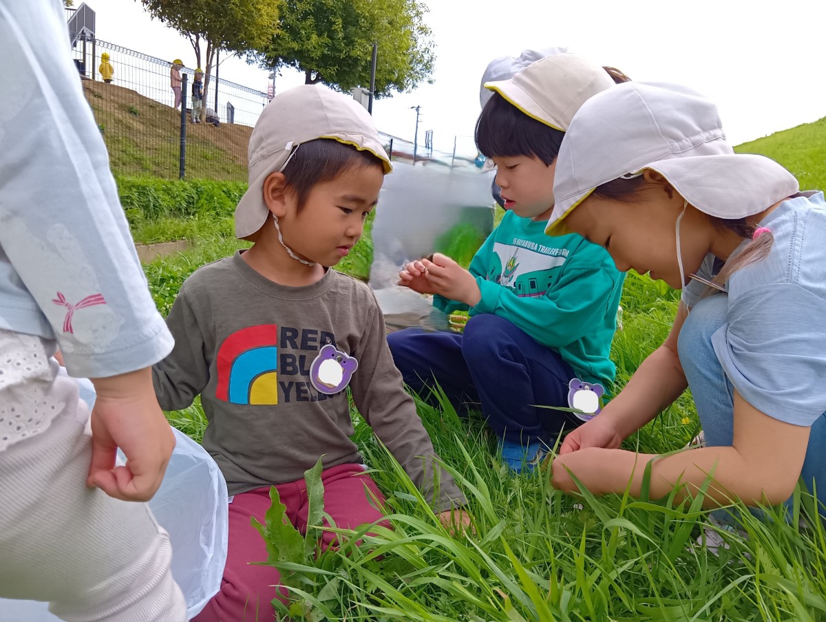 子どもたちは土手の草原に座り、草を見ながら指先を動かしている。