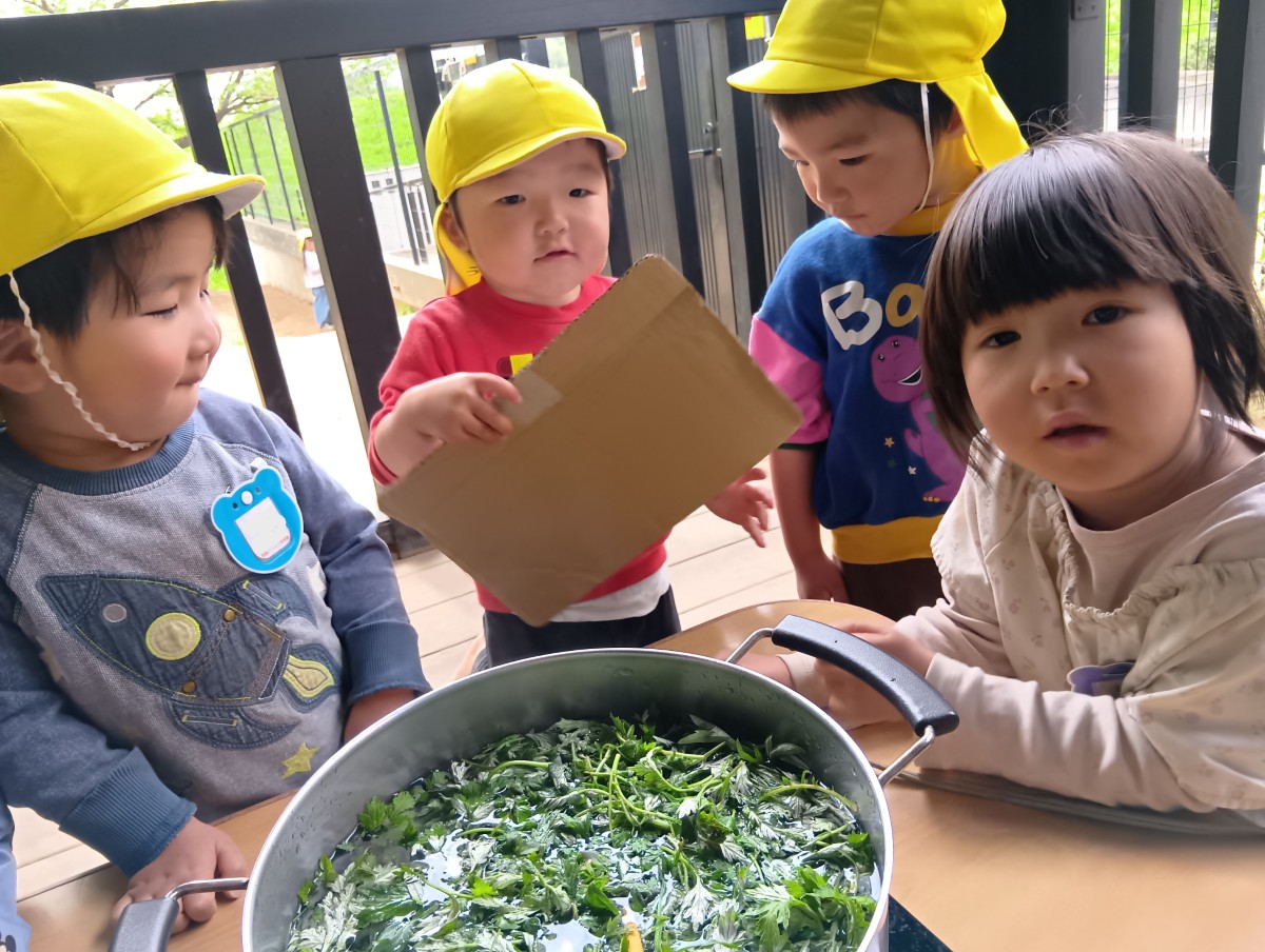 子どもたちは、ヨモギを茹でている大きな鍋の周りに集まっている。