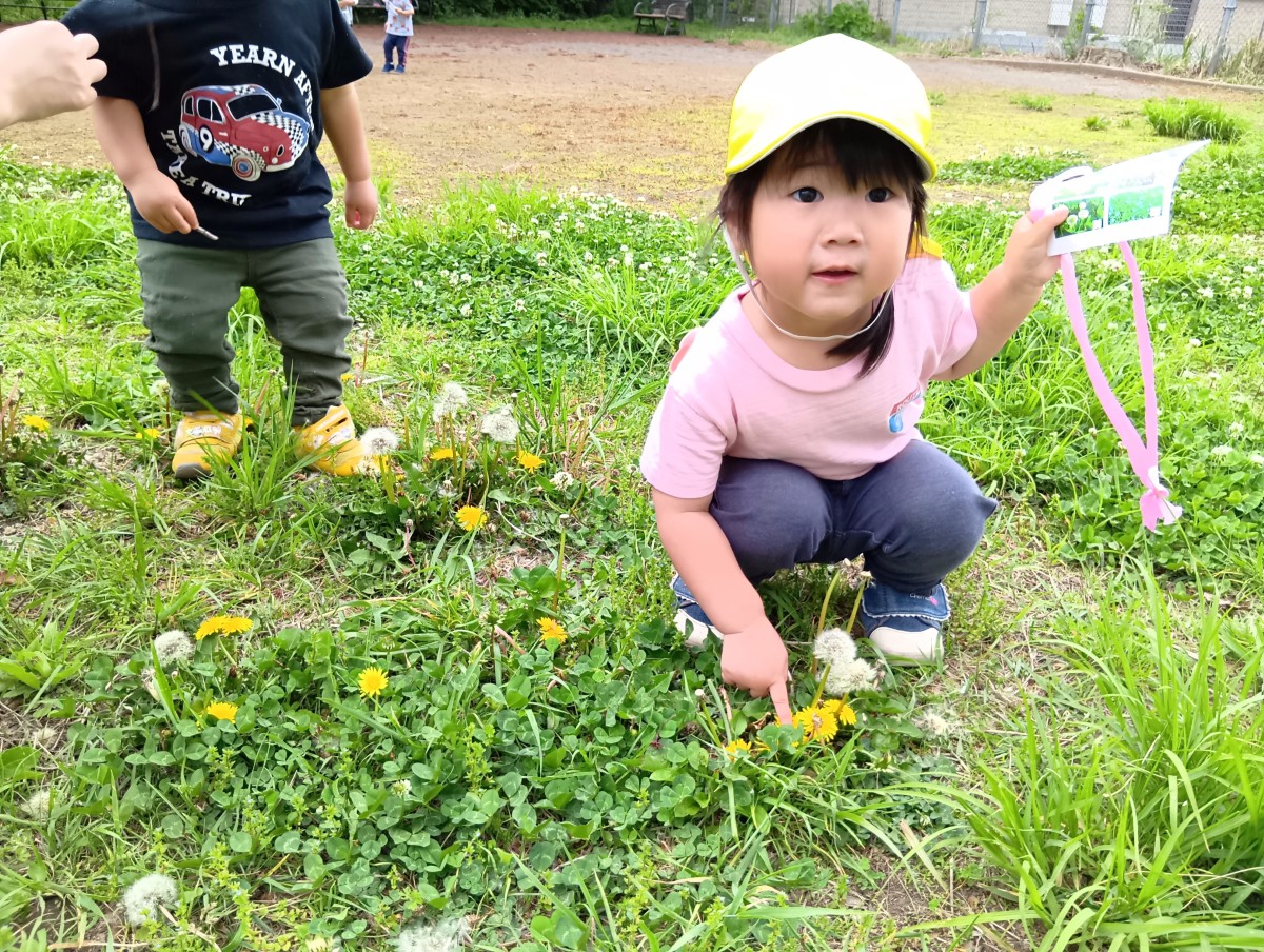 片手にカードをもった子どもが、タンポポを指さしてこちらを見つめている。