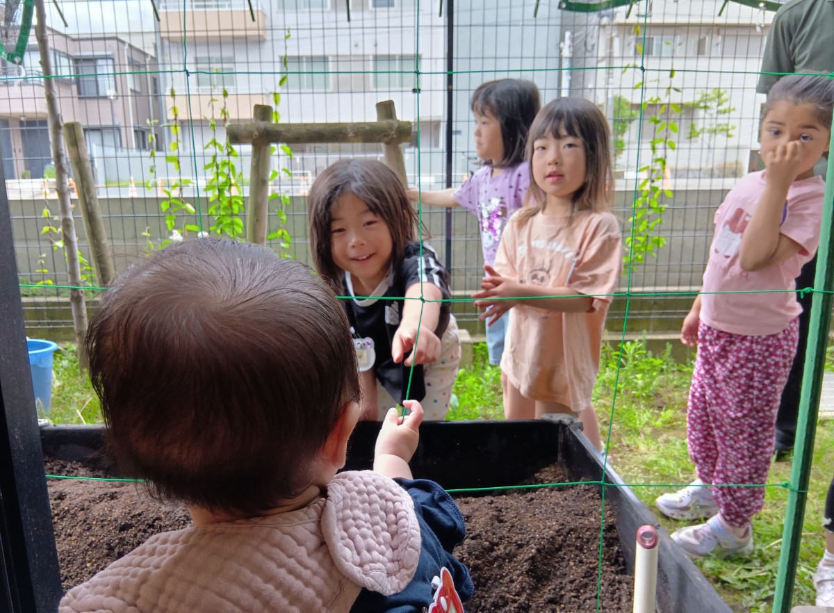プランターの畑の傍では年上児が年下児に笑顔で話しかけ、年下児は手を差し出して応じている。