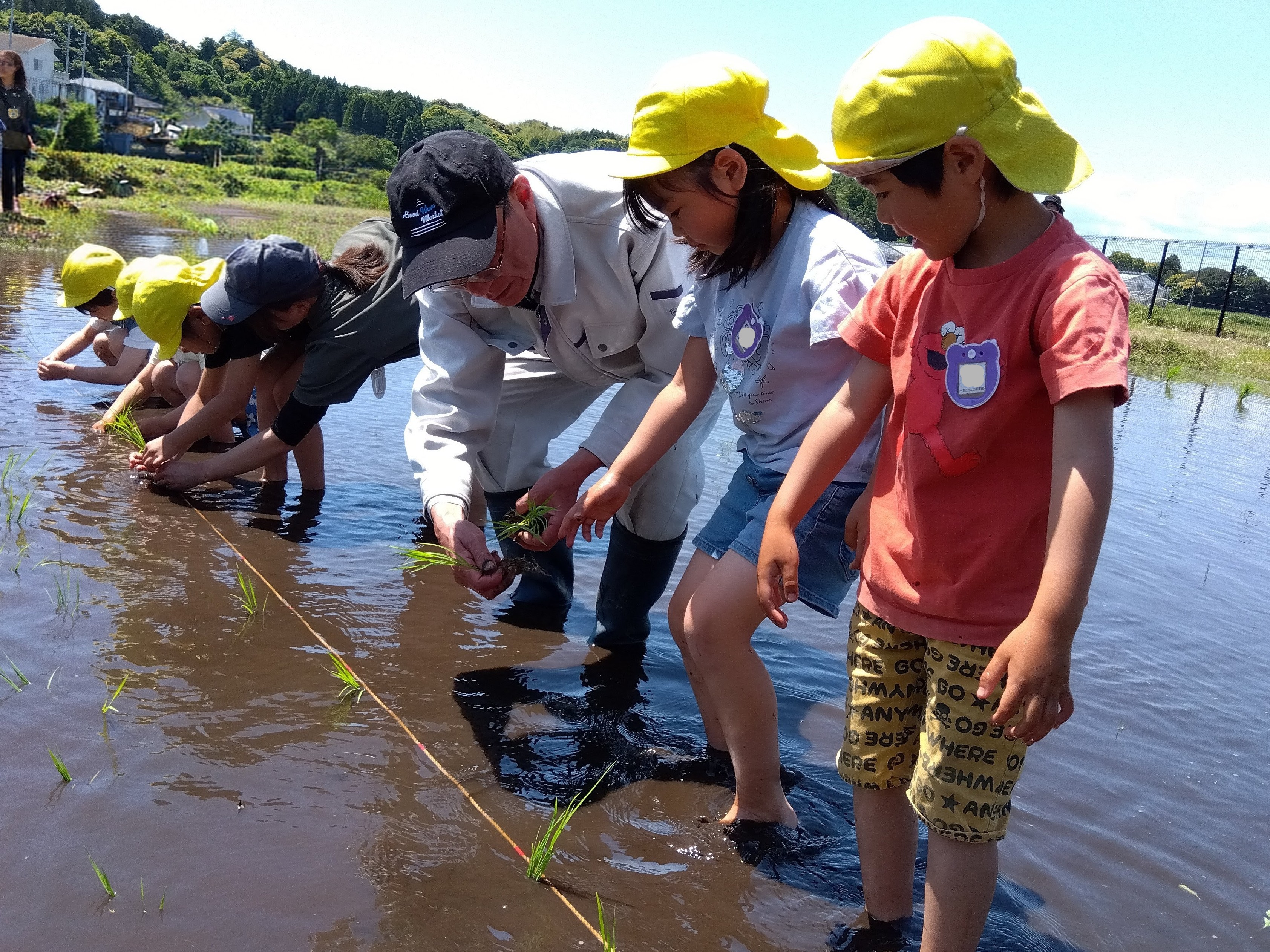 田んぼでは、一人の男性が苗を分けて、子どもたちに渡そうとしている。大人も一緒に子どもの手元に手を添えて田植えをしている。