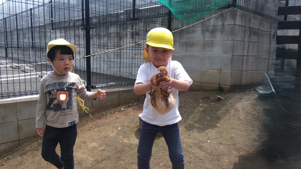 鶏を両手で抱えて持ち上げる子と、その様子を近くで見る子がいる。