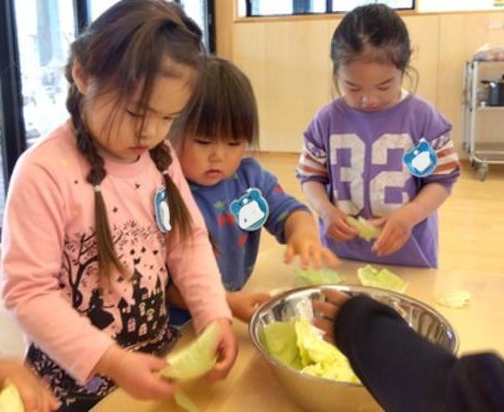 ほかの子どもたちもボールに入ったキャベツをちぎったり触れたりしている。