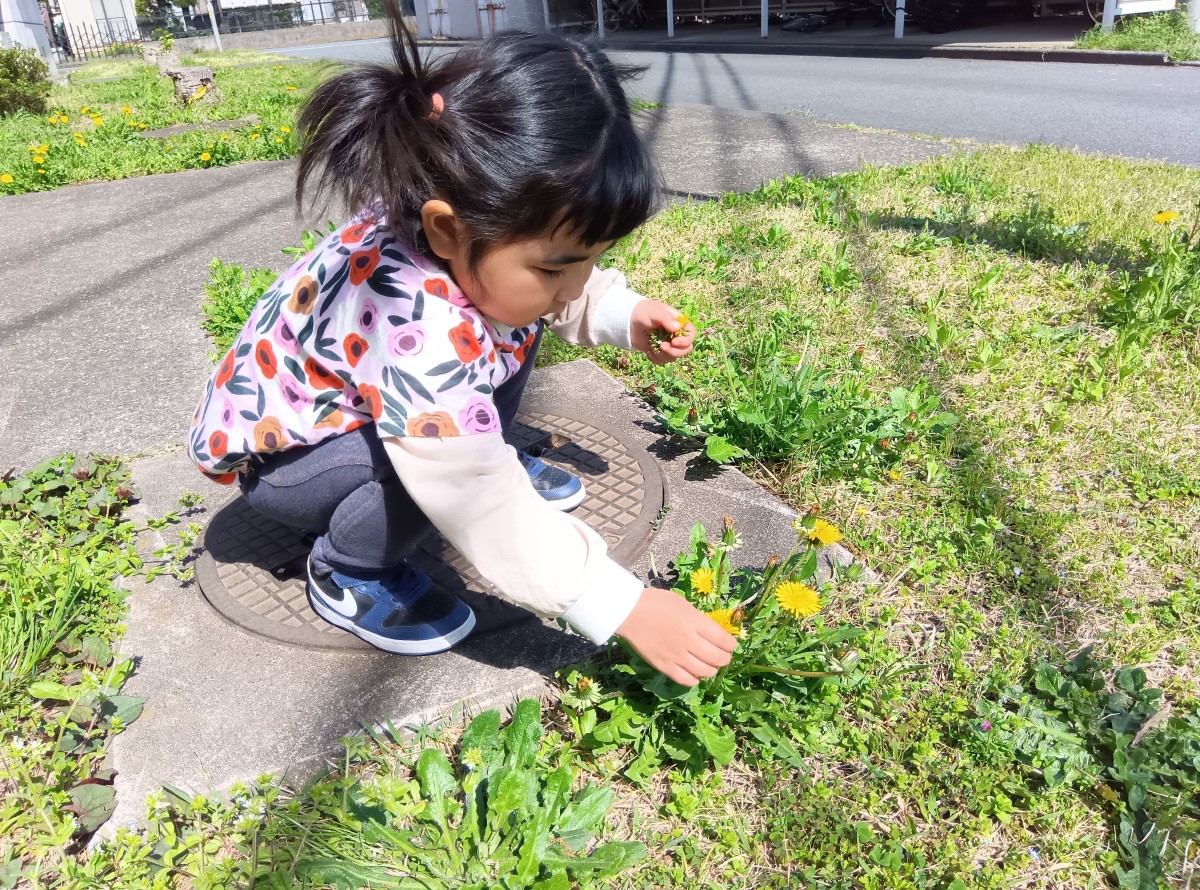 一人の子どもが道端に咲くタンポポに気づいてしゃがんで触っている。