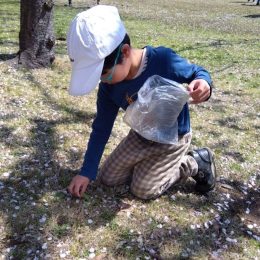 発達支援つむぎ 香取台「春休みの公園散歩から国際交流まで!充実した4月の振り返り」