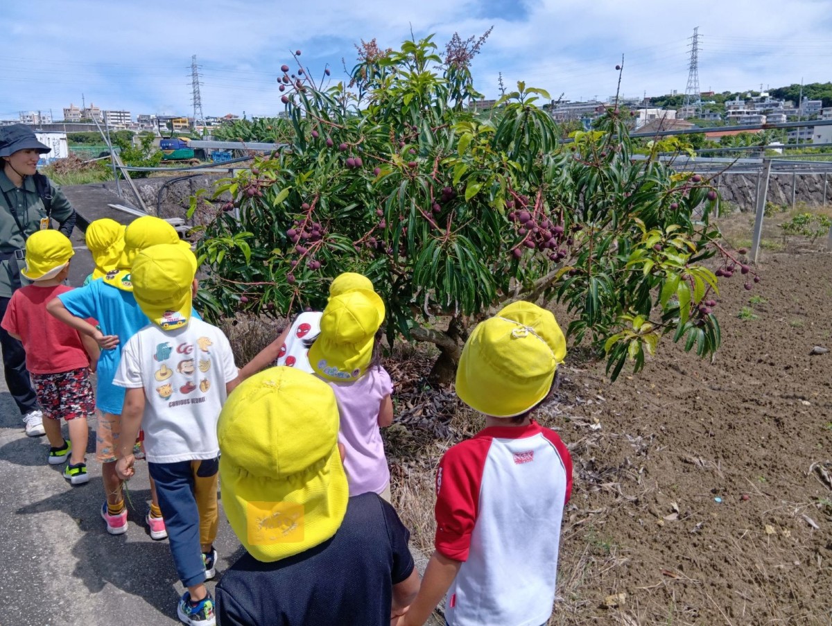 2列に並んだ子どもたちは、畑の果物の木を見つけて立ち止まっている。
