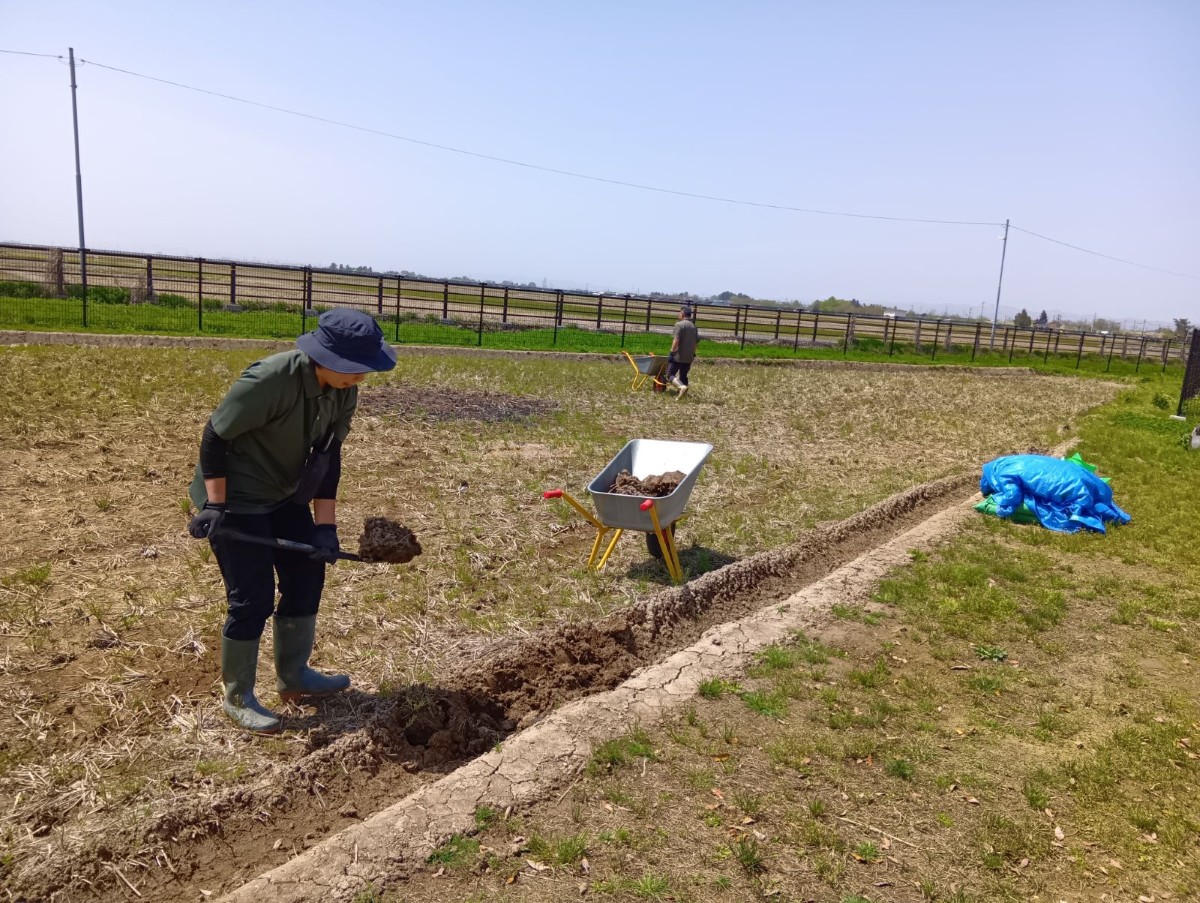 職員が鶏フンをスコップですくって農地に混ぜている。