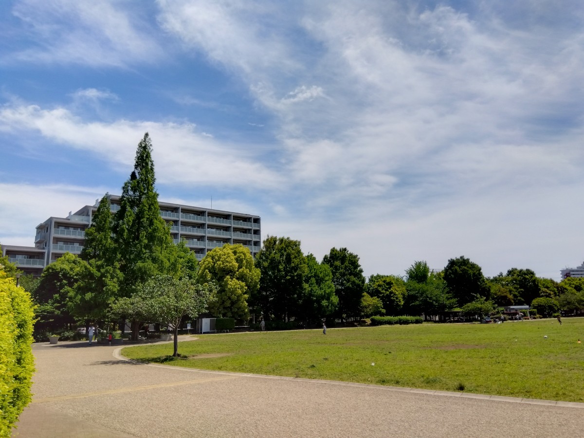 歩道沿いに木々が並ぶ広々とした原っぱ公園