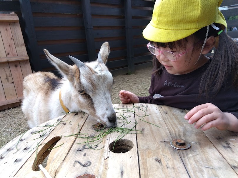 机の上に置いてある草をヤギが食べており、隣にいる眼鏡をかけた子どもはその様子を笑顔で眺めている。