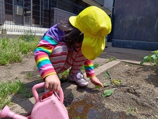 一人の子どもがじょうろを手に持ち、水にぬれて土の色が変わる様子を見つめている。