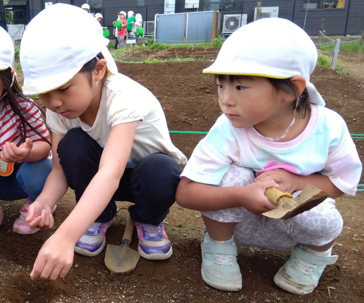 子どもたちは一列に並んで、畑の土のくぼみに小さな種を植えている。