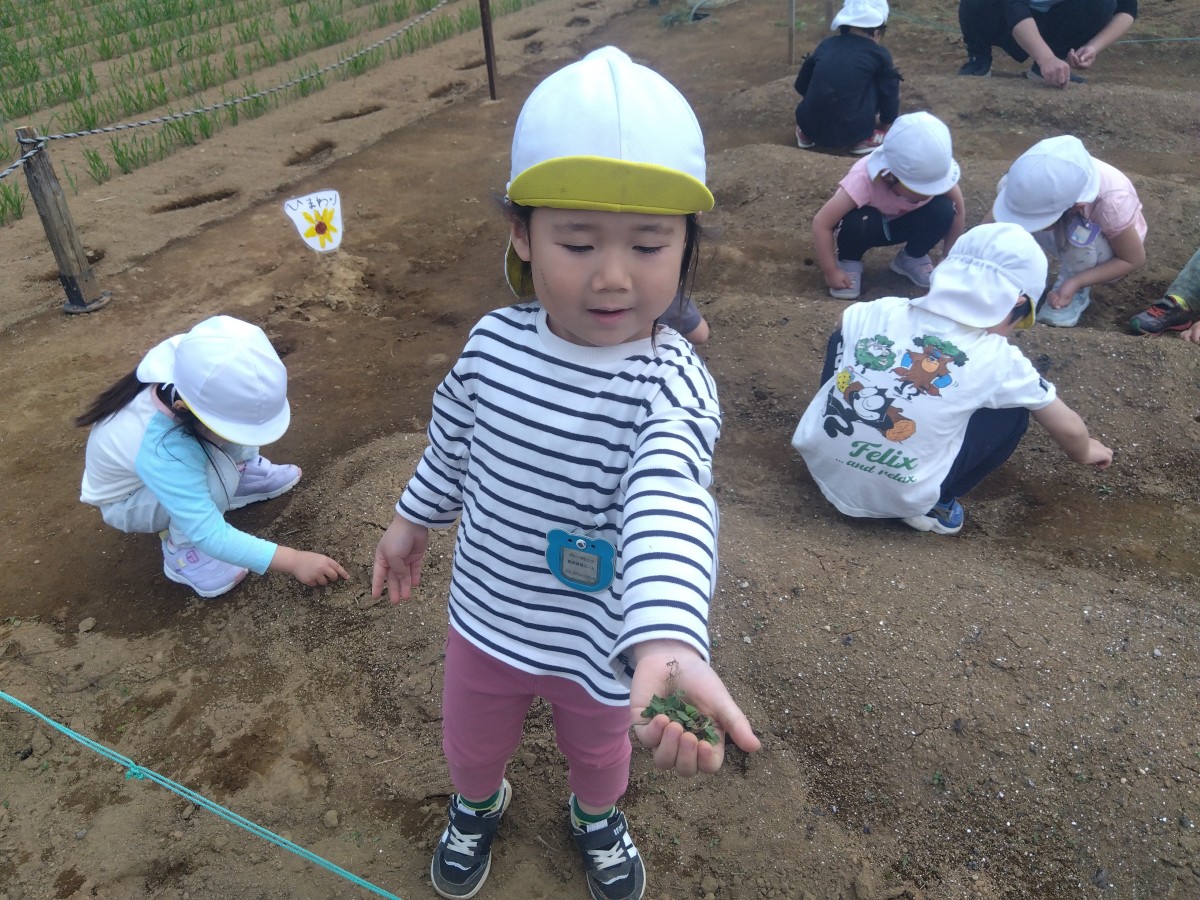 一人の子どもが、根っこまで抜けた雑草を掌の上にのせて見せている。