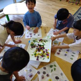 駒沢どろんこ保育園「自然物を使って色染め体験」