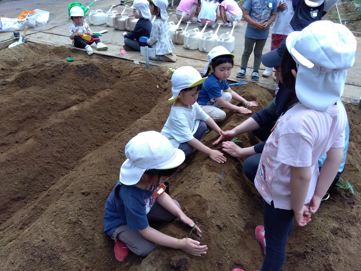数名の子どもたちは畑で一列に並んで座り、大人と一緒に畝の土を触り、数名の子どもたちはその様子を見ている。