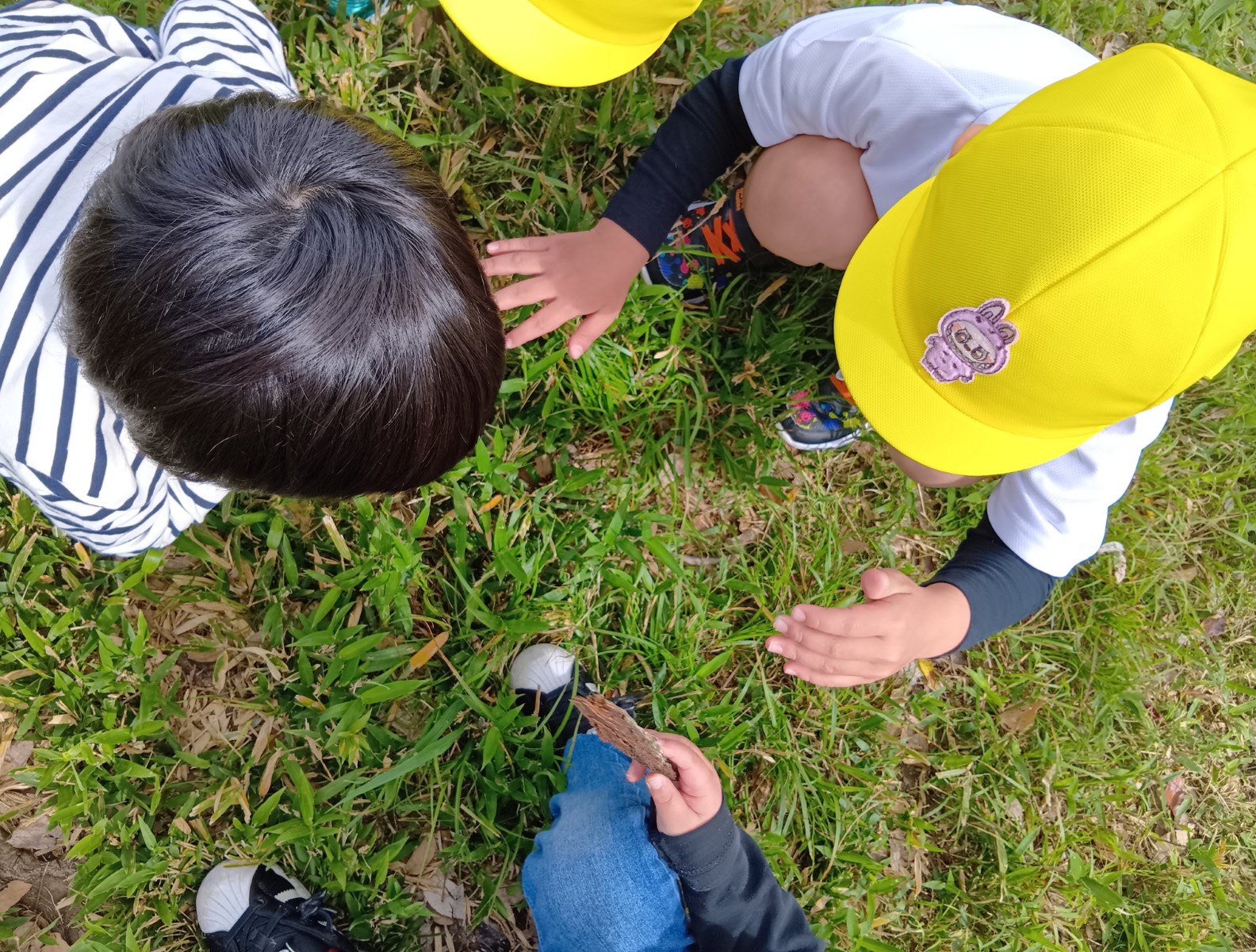 子どもたちは草原の中でしゃがみ込み、草の中を見ている。