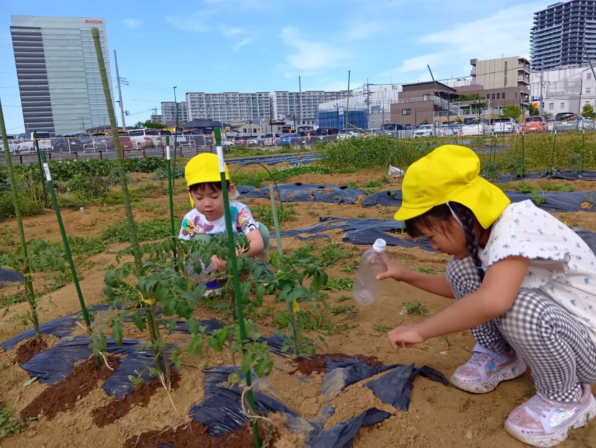 二人の子どもが畑に座り込み、ペットボトルで水やりをしている。
