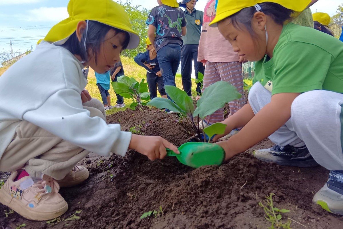 畑では、一人の子どもがシャベルを手に持ち、もう一人の子どもが土に触って苗に土をかぶせている