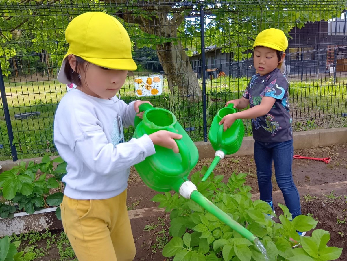 畑では、二人の子どもがじょうろで育てた野菜に水をあげている