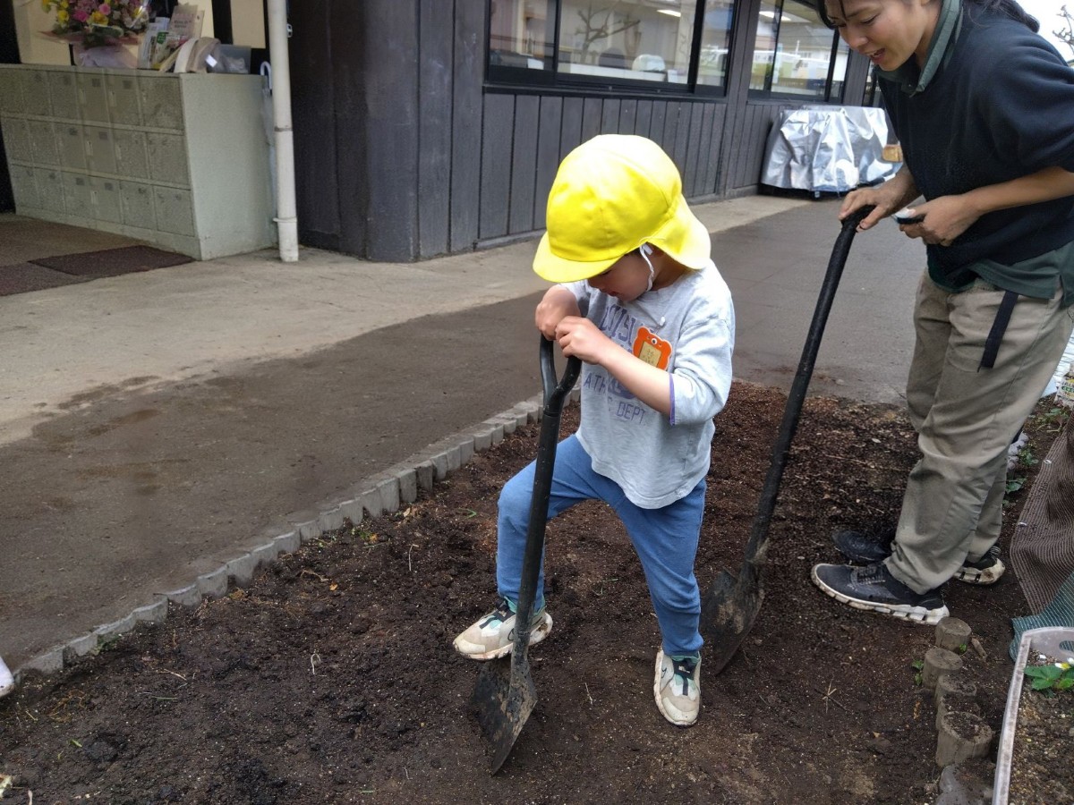 園庭の畑では、子どもがシャベルで土を掘っており、後ろからシャベルを持った大人が声をかけている。
