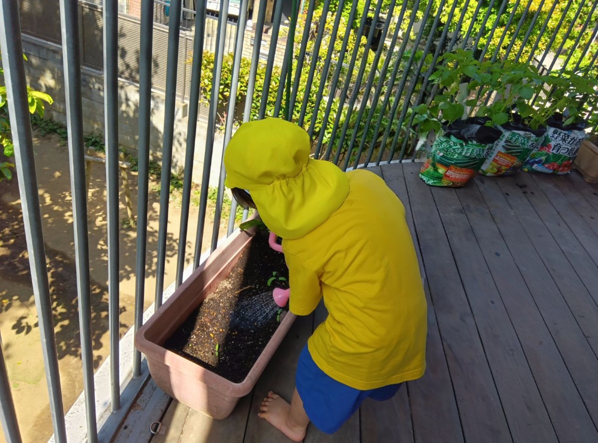 子どもがプランターの植物にじょうろで水をあげている。