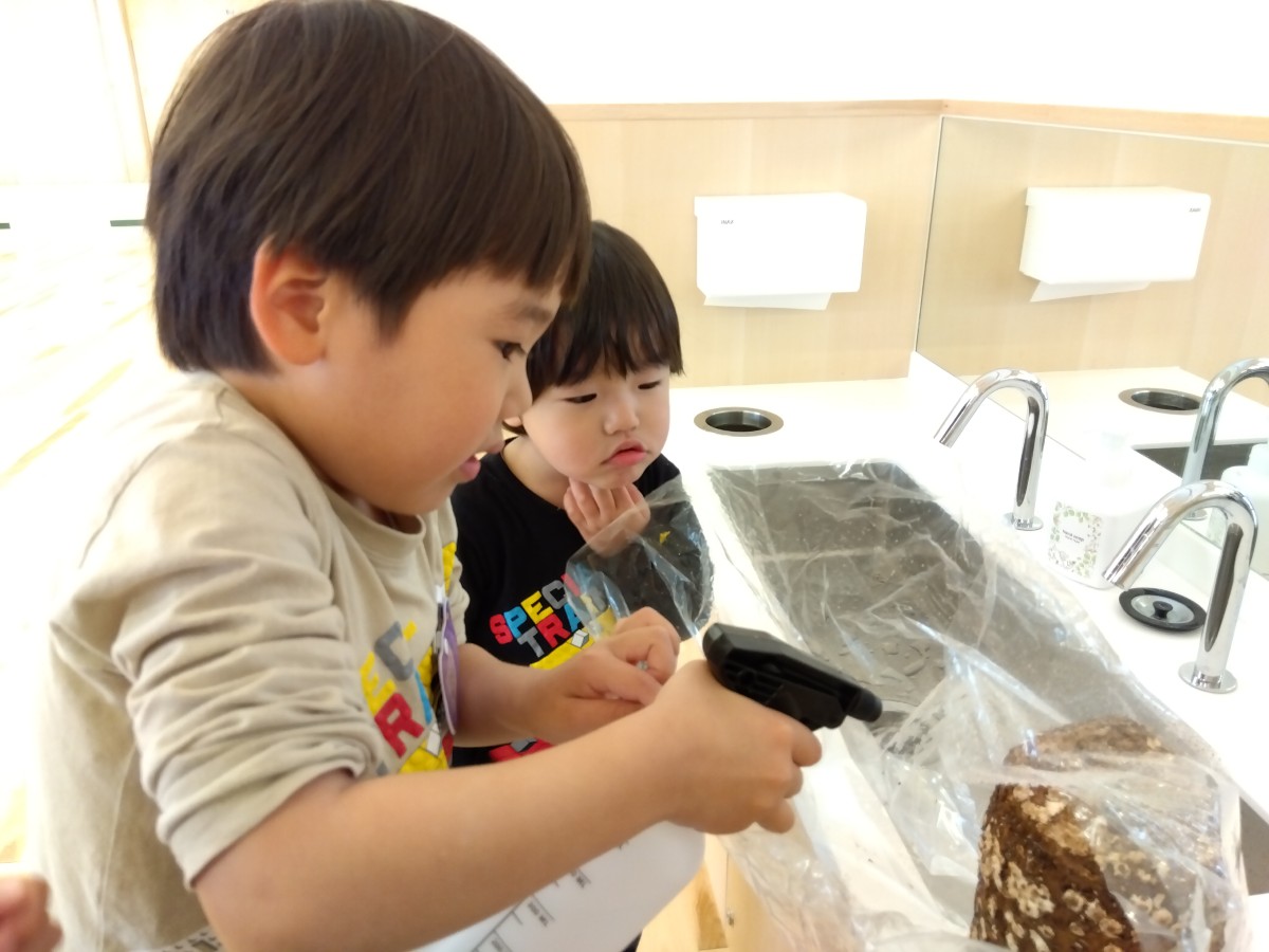 水道場で一人の子どもが霧吹きを使って椎茸の栽培キットに水を吹きかけており、隣で年下児がその様子を見ている。