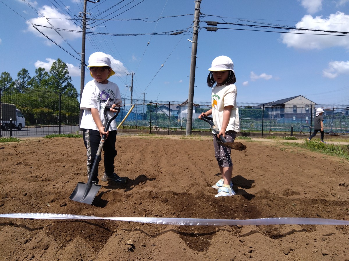二人の子どもが大きなスコップで土を掘り起こしている。
