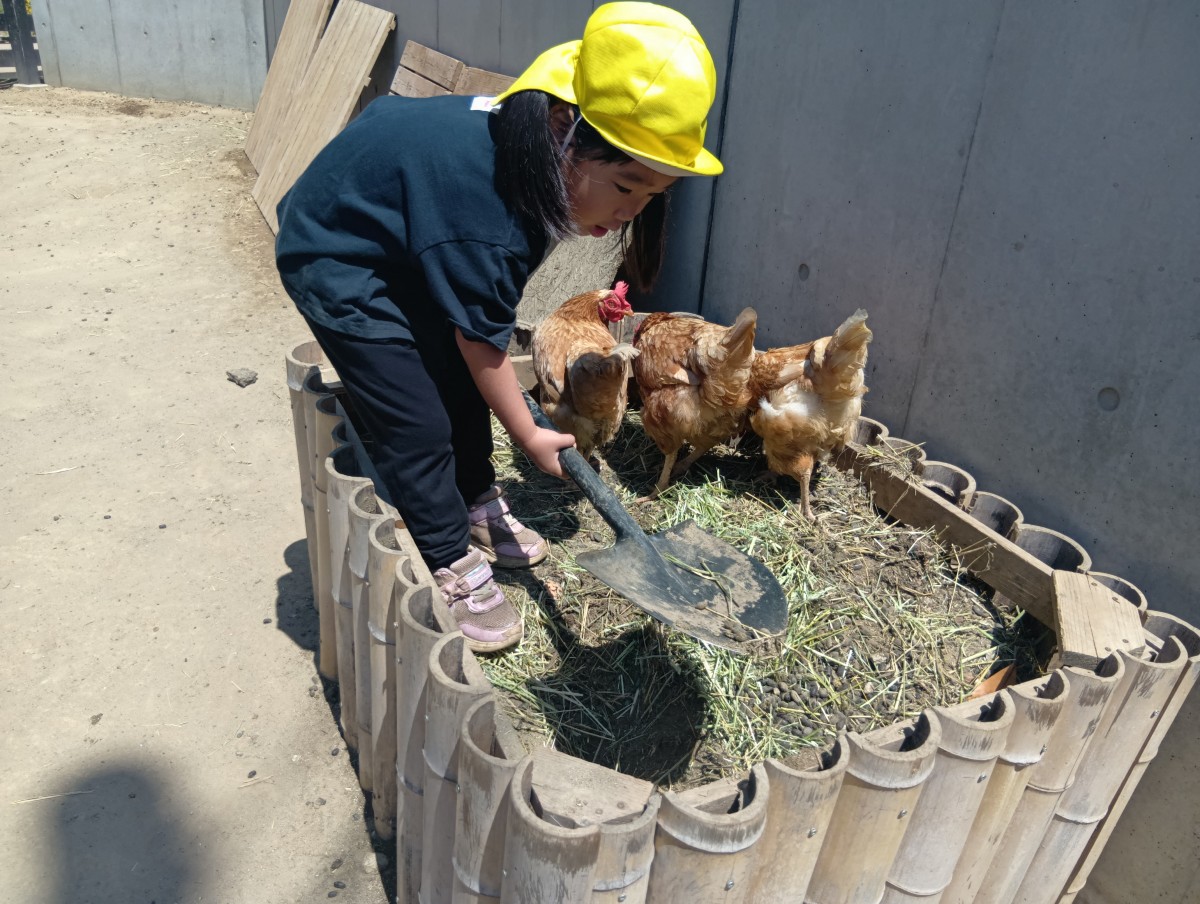 竹で作られたコンポストの上には3羽の鶏とスコップを持った一人の子どもがいる。