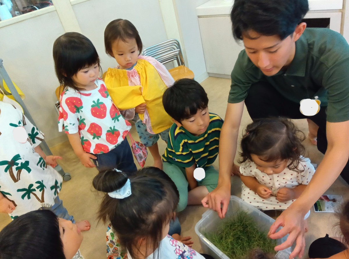 稲が入ってい四角いポリバケツの周りに、大人と子どもたちが集まり中を見ている。