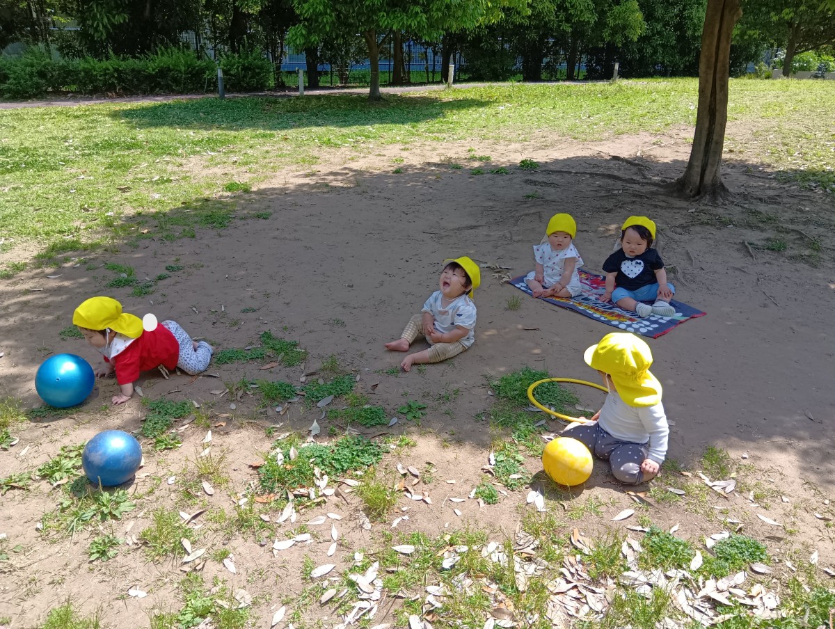 公園では、木陰でシートの上に座っている乳児、ハイハイでボールを追いかける乳児、笑っている乳児などがいる。