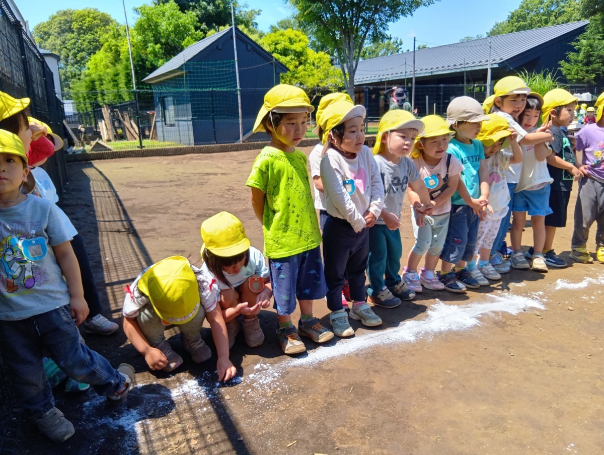 園庭では、子どもたちがアルミホイルが入った牛乳パックを運んでいる。