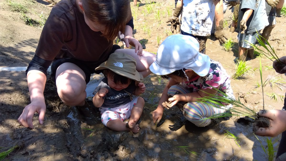 田んぼの中では一人の子どもが泣いており、大人と一人の子どもがその子のそばに座り寄り添っている