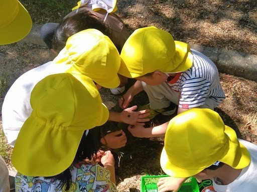 公園では、一人の子どもが掌に虫をのせており、もう一人の子どもが掌の虫を覗き込んでいる。近くには虫かごを持った子どもがいる。