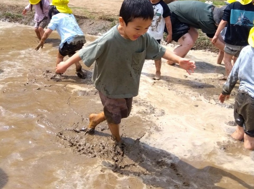 子どもたちは田んぼの中に入り、走ったり歩いたりしている。