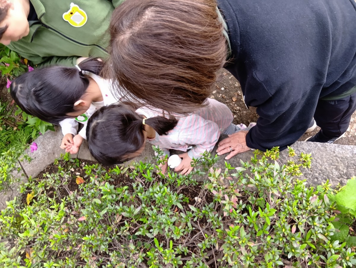 公園の花壇で見つけた虫を掌に乗せる子、虫を探す子がおり、その後ろで大人が見守っている