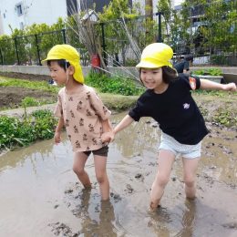 子ども発達支援センターつむぎ 浦和美園「友だちと一緒に畑仕事」