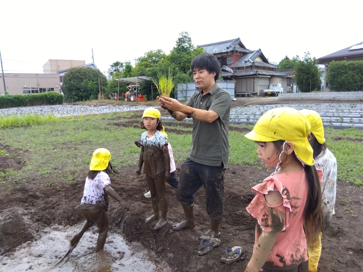 大人が稲苗を手に持って子どもたちに見せている