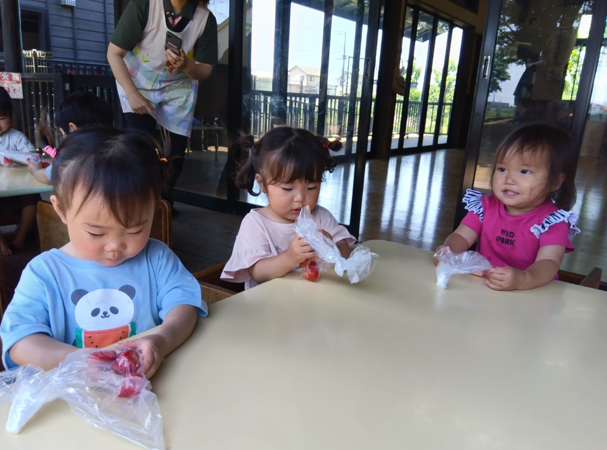 子どもたちが椅子に座って袋の中のイチゴを手を使ってつぶしている