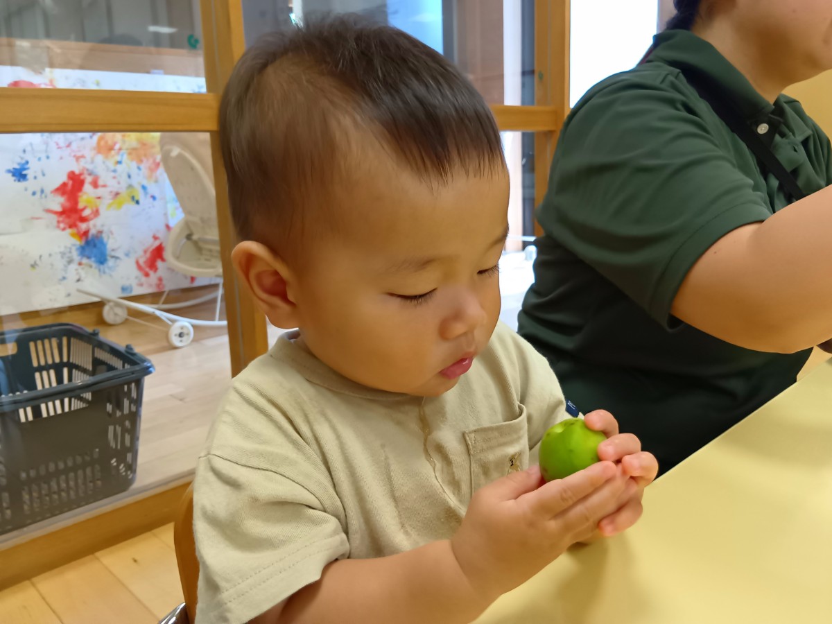 一人の子どもが両手で梅を持ち、じっと梅を見ている
