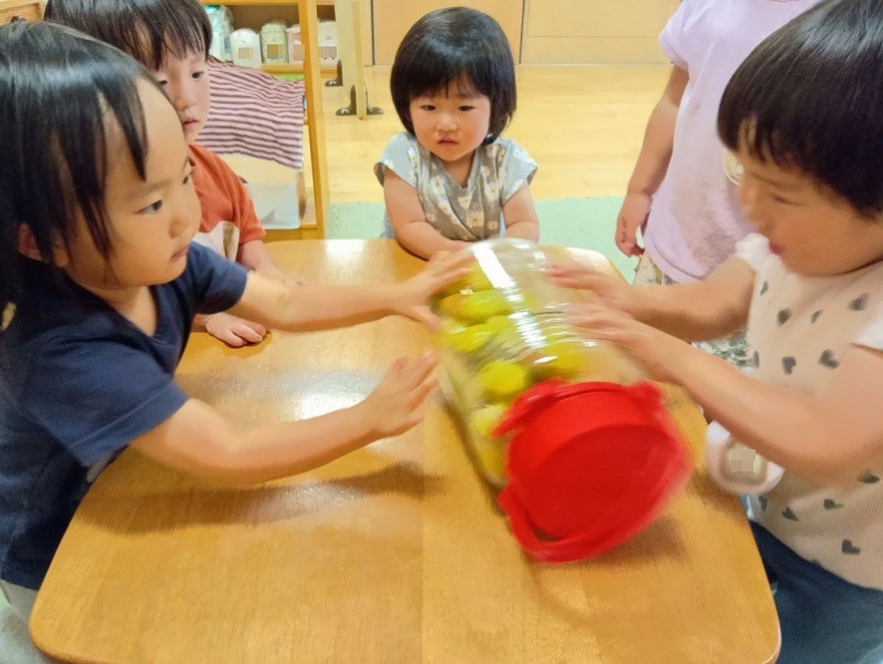 子どもたちが机の上で梅が入った瓶を横に倒して転がしている
