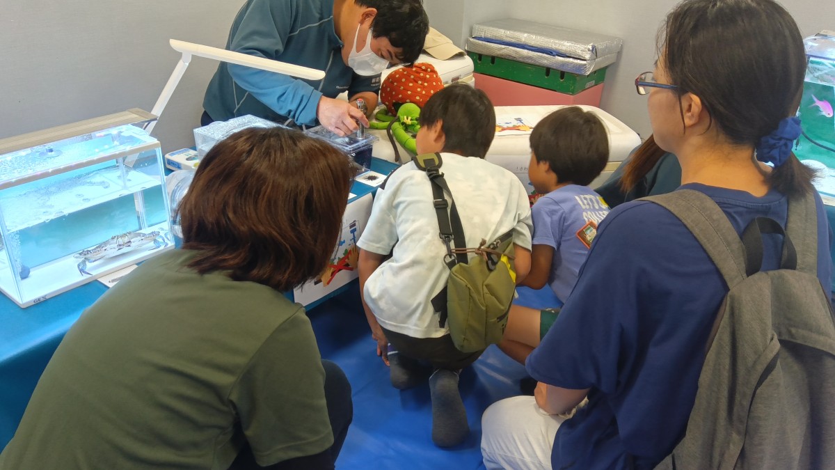 水槽を覗き込む子どもたちとその後ろで見守る大人