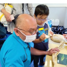 発達支援つむぎ 府中「海の生き物を知ろう!触ってみよう!」