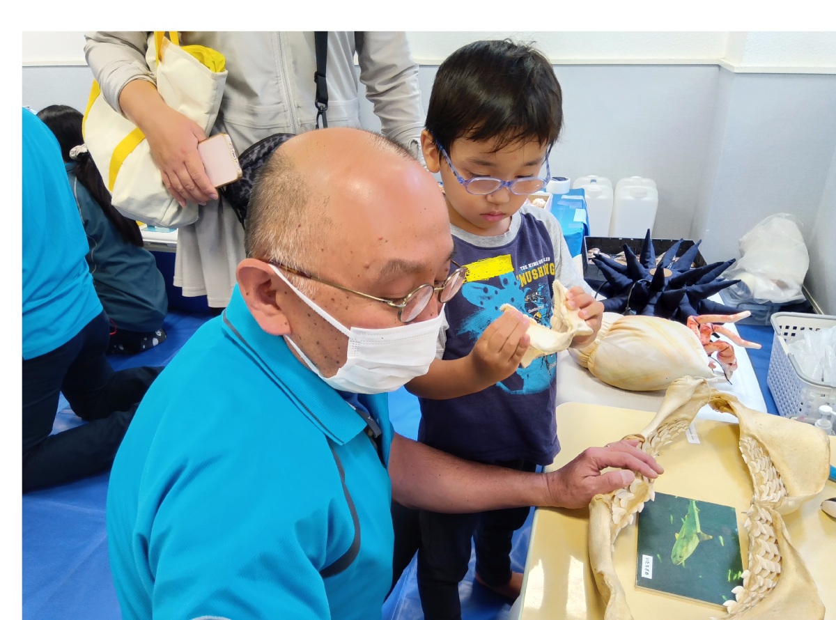 標本のサメの歯を持ち、じっとその歯を見つめる一人の子どもと隣にいる大人