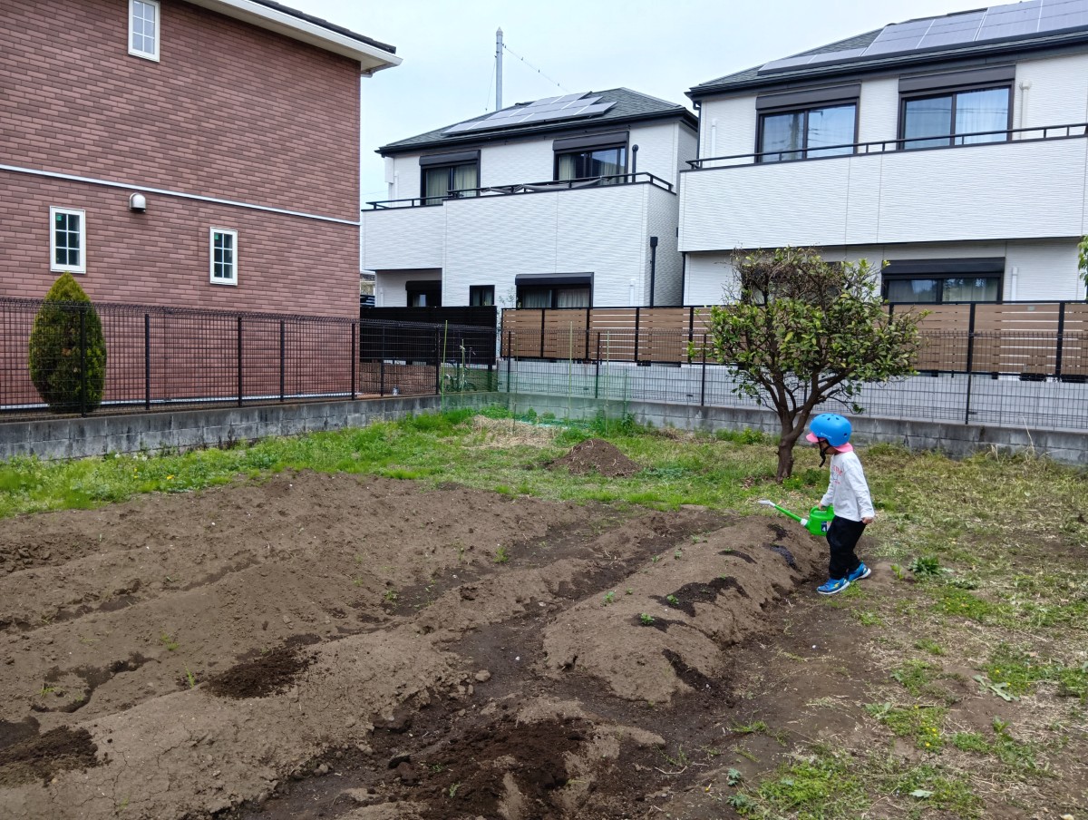 一人の子どもが、畑の畝にじょうろで水をあげている