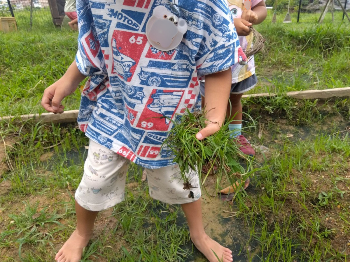 畑の中で、子どもが抜いたたくさんの雑草を片手に持って仁王立ちしている