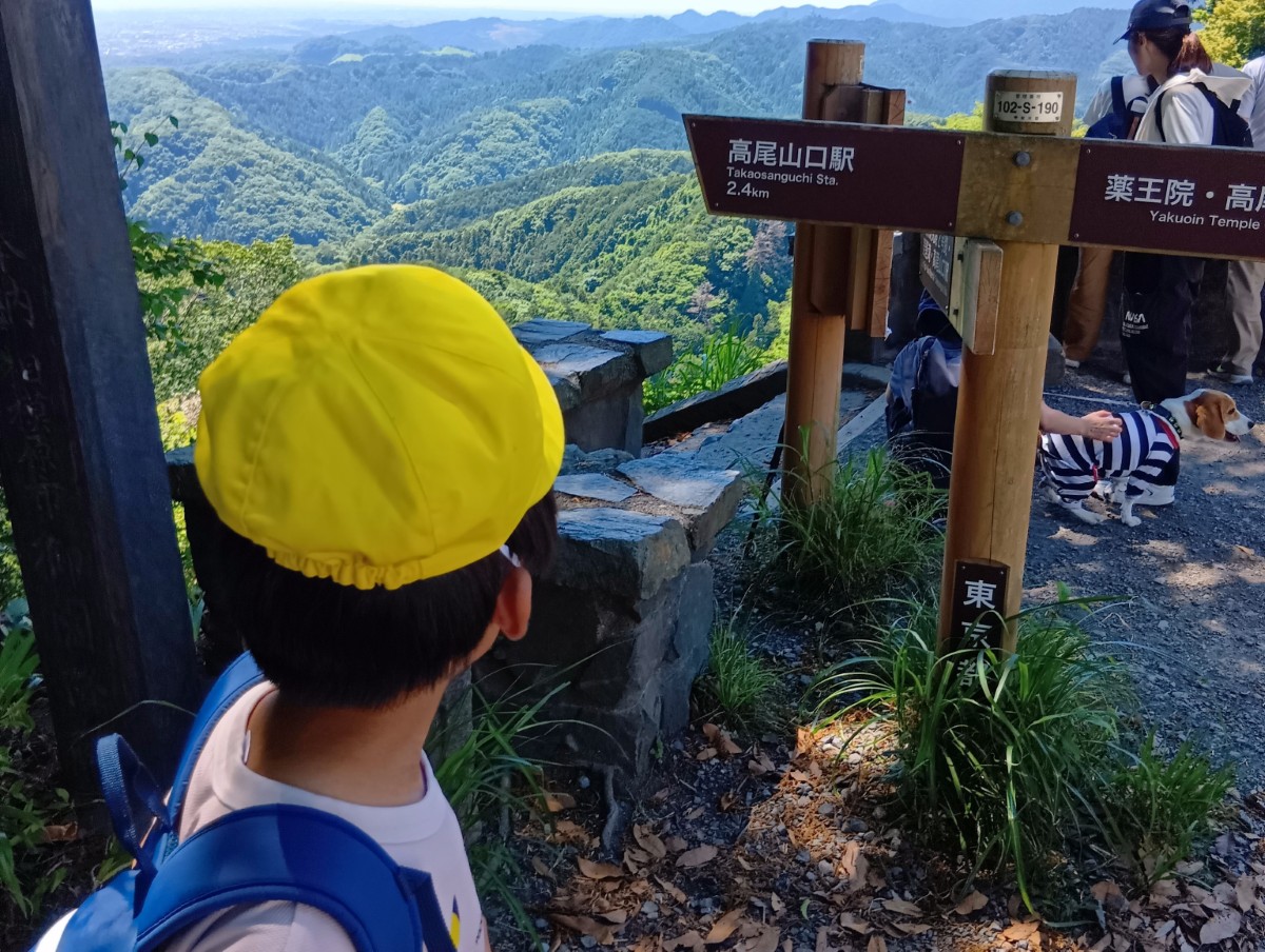 高尾山の山腹から山々の景色をみる子どもの後ろ姿