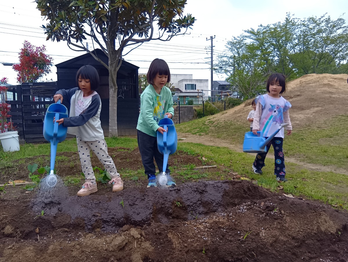 畑では3人の子どもがじょうろを持って水をあげており、一人の子どもは後ろでその様子を見ている