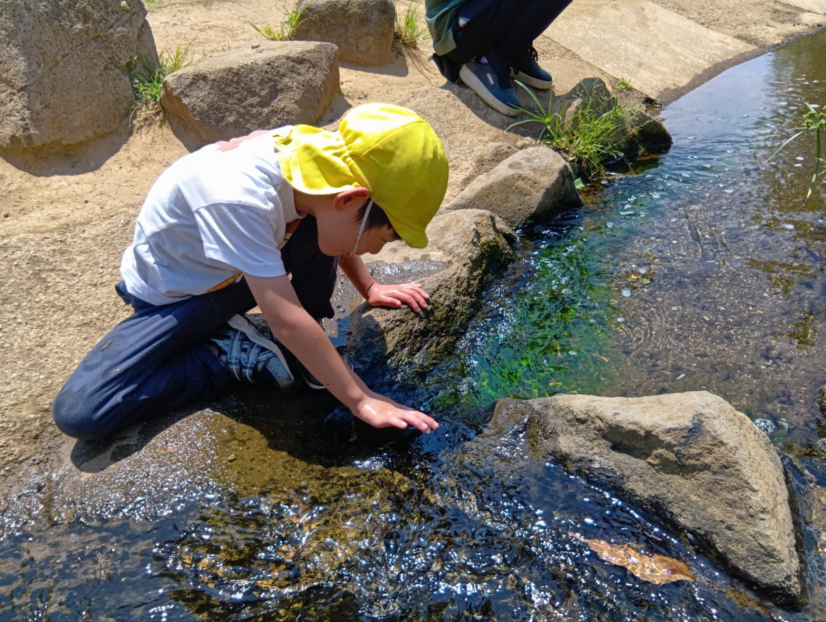 一人の子どもが小川の淵にしゃがんで水面に手を伸ばしている