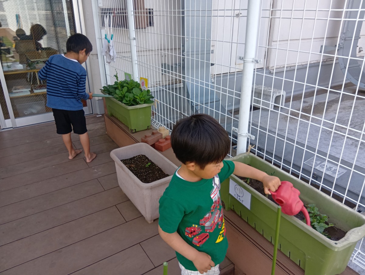二人の子どもがじょうろでプランターの植物に水をあげている